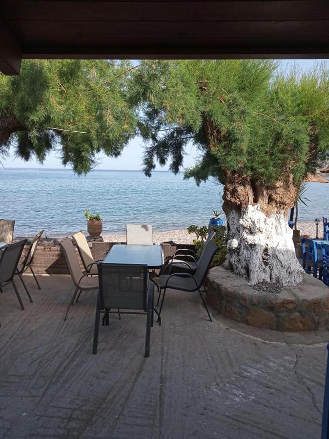 Beachfront Apartment Kato Káto Zákros 외부 사진