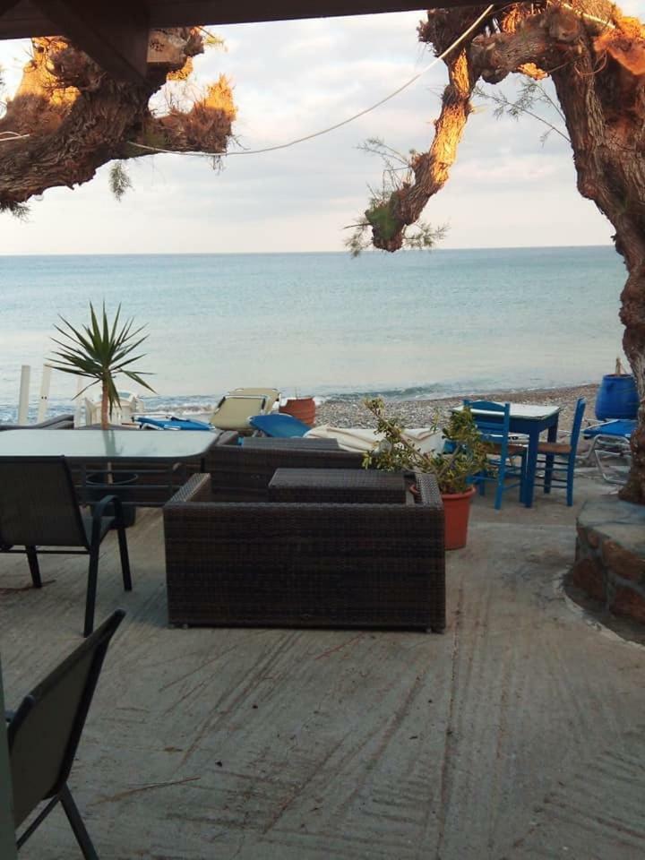 Beachfront Apartment Kato Káto Zákros 외부 사진